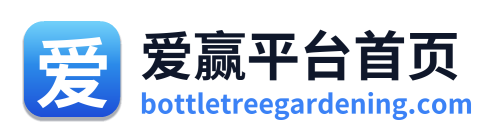爱赢平台首页